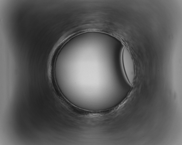 X0000099490150200805150935
