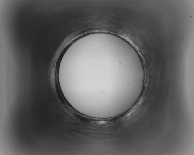 X0000099490151200805150935