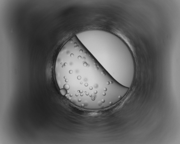 X0000099490153200805150935