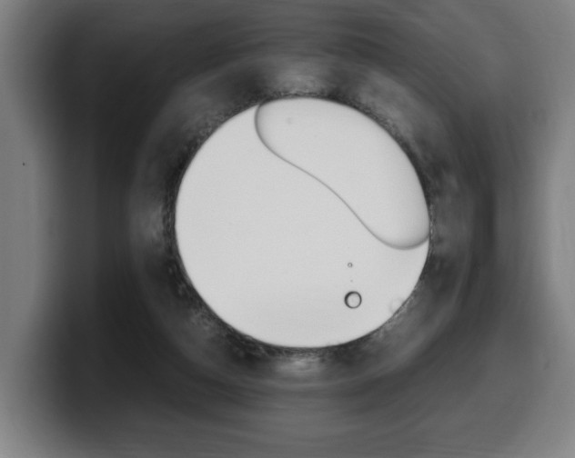 X0000099490162200805150935