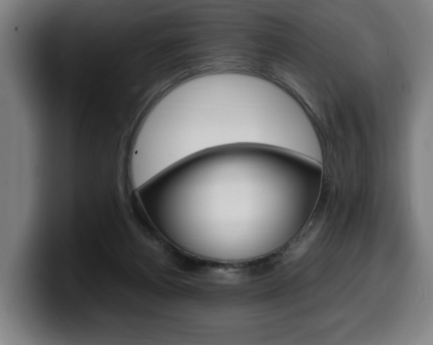 X0000099490164200805150935