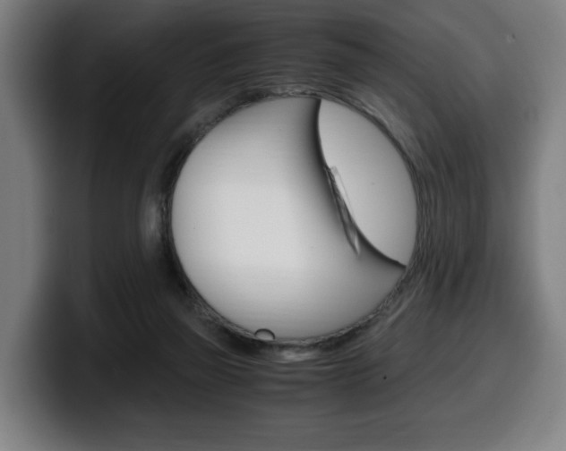 X0000099490165200805150935