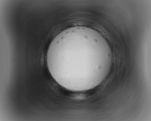 X0000099490169200805150936