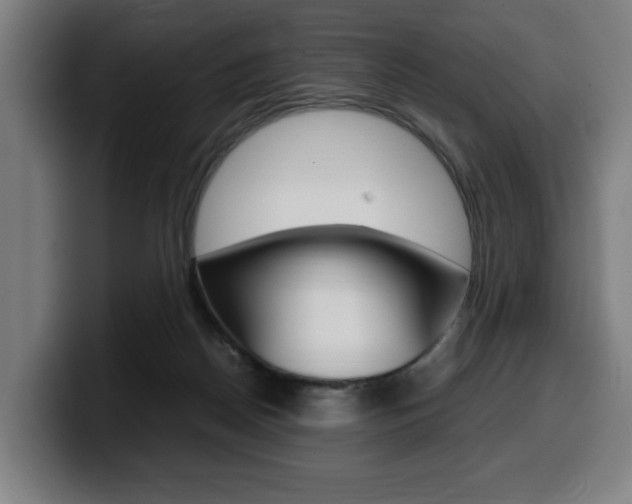 X0000099490170200805150936