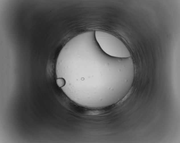 X0000099490171200805150936
