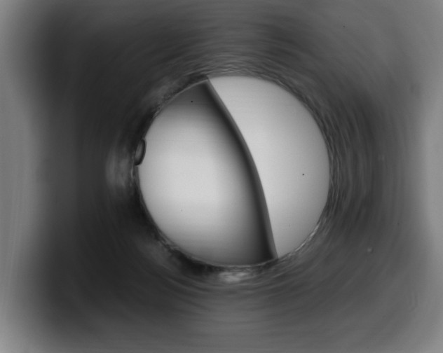 X0000099490172200805150936