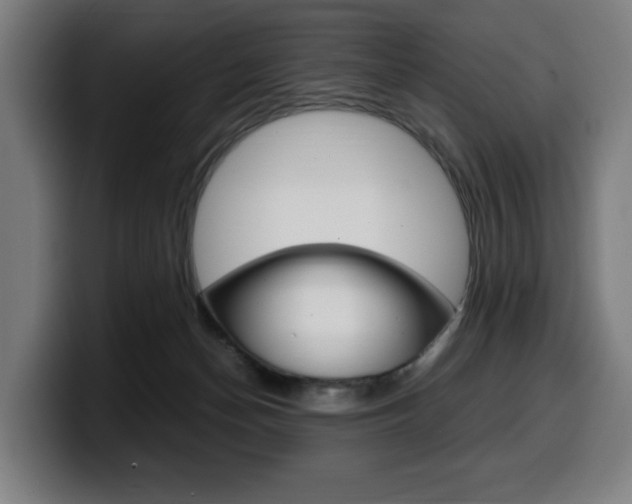X0000099490174200805150936