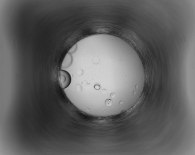X0000099490175200805150936