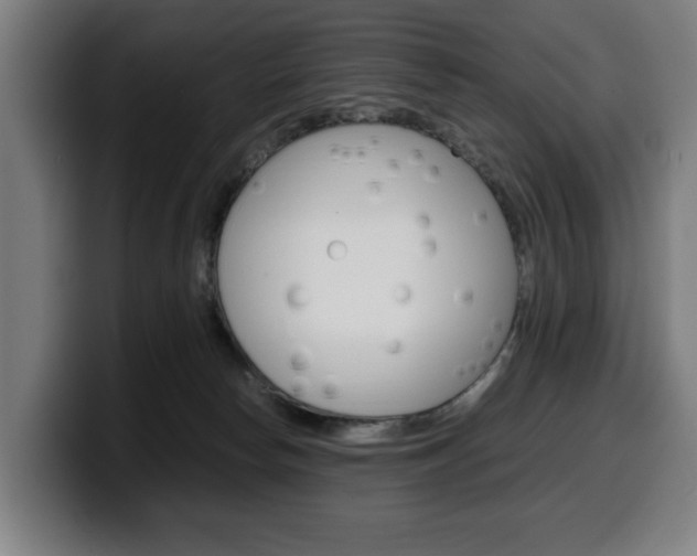 X0000099490178200805150936
