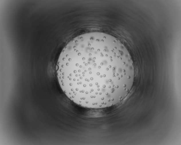 X0000099490179200805150936