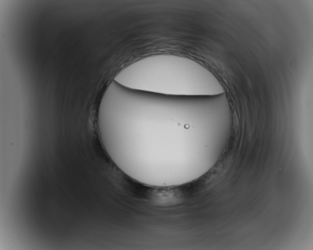 X0000099490181200805150936