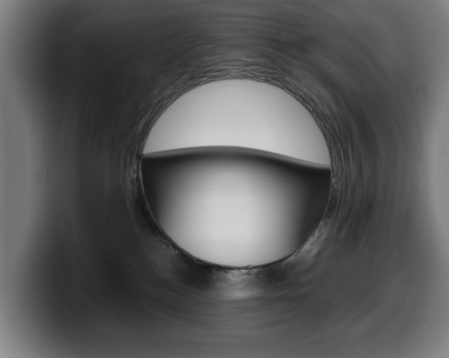 X0000099490184200805150936