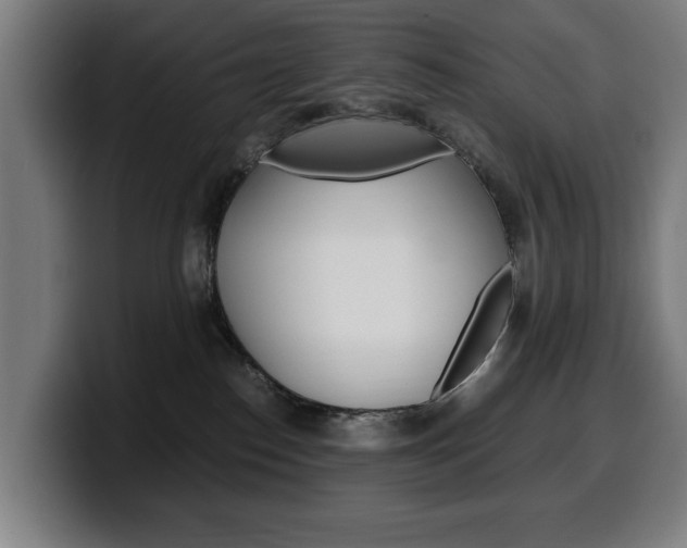 X0000099490186200805150936