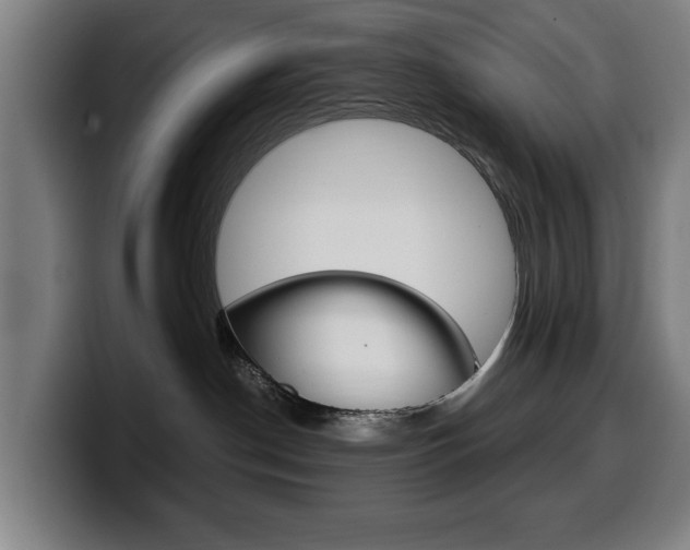 X0000099490190200805150936