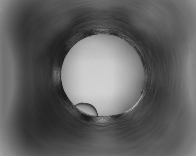 X0000099490191200805150936
