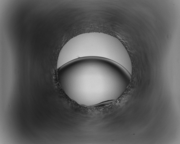 X0000099490192200805150936