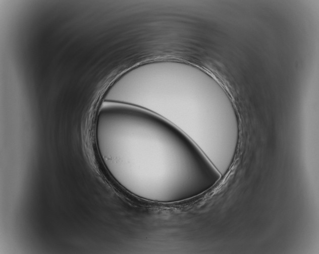 X0000099490193200805150935