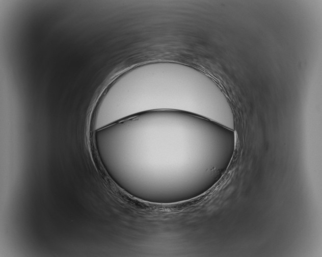 X0000099490195200805150935