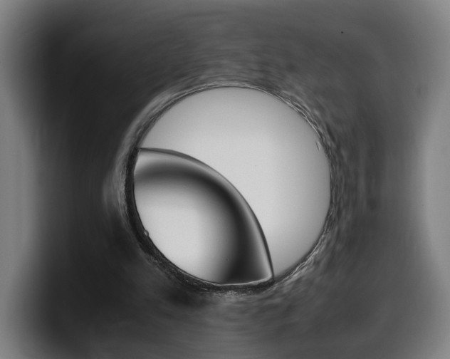 X0000099490197200805150935