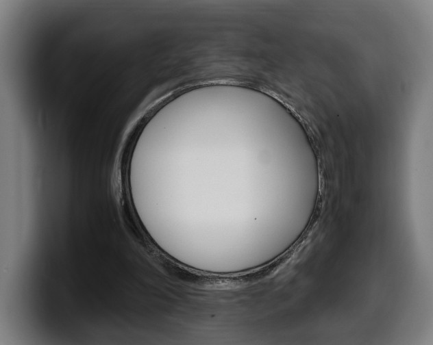 X0000099490198200805150935