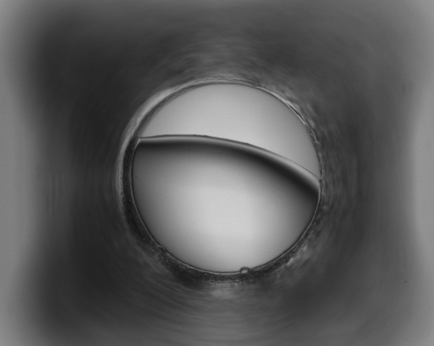 X0000099490200200805150935