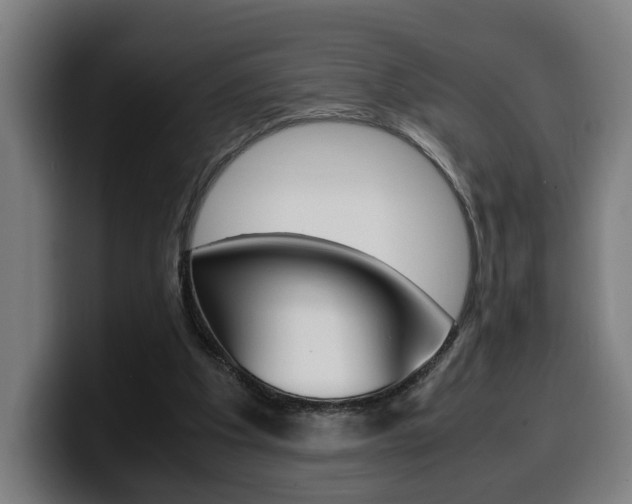 X0000099490201200805150935