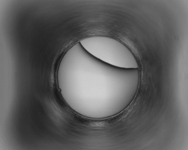 X0000099490202200805150935