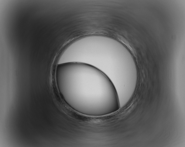X0000099490203200805150935
