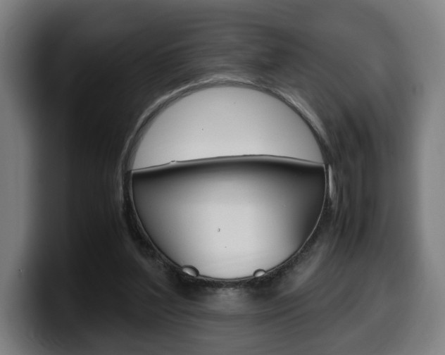 X0000099490204200805150935