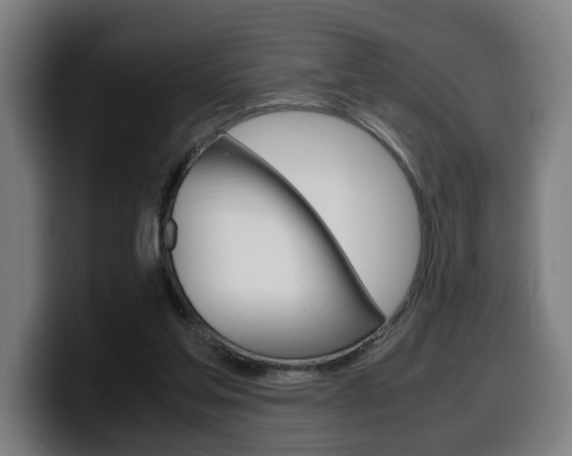 X0000099490205200805150935