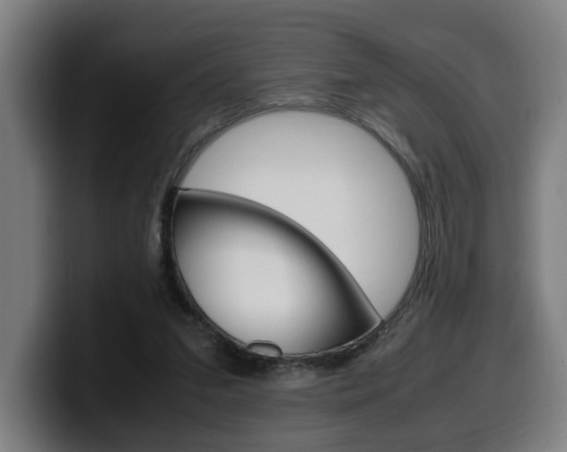 X0000099490207200805150935