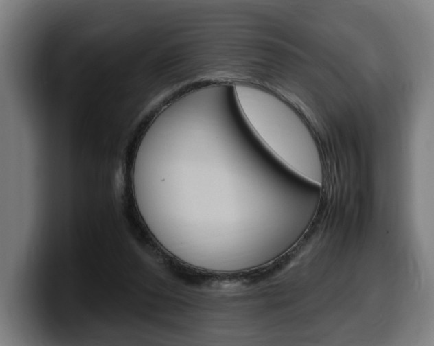 X0000099490208200805150935