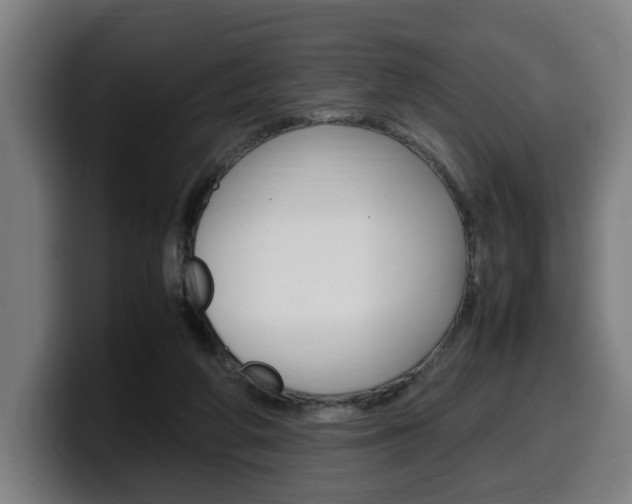 X0000099490210200805150935