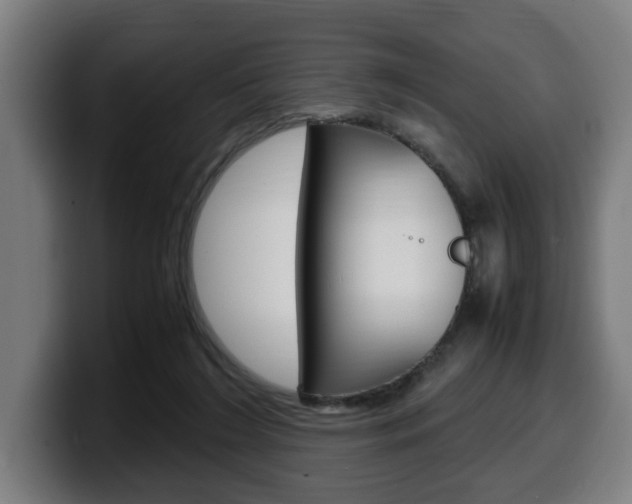 X0000099490212200805150935
