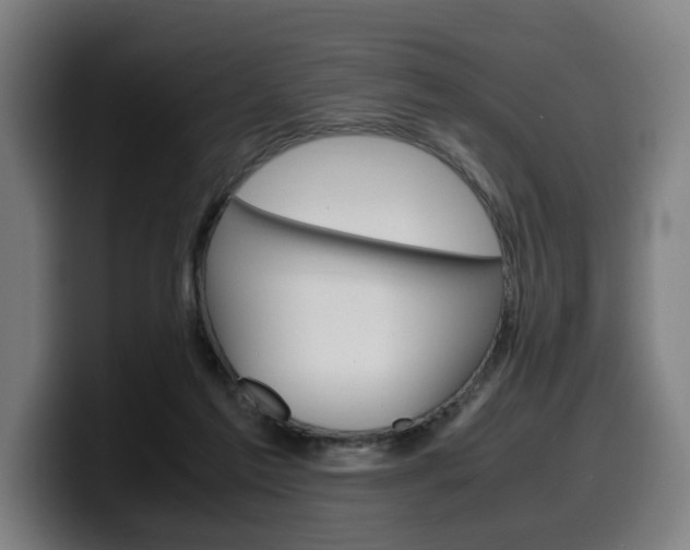 X0000099490213200805150935