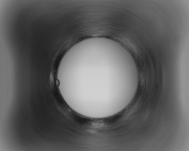 X0000099490214200805150935