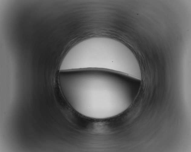 X0000099490216200805150935
