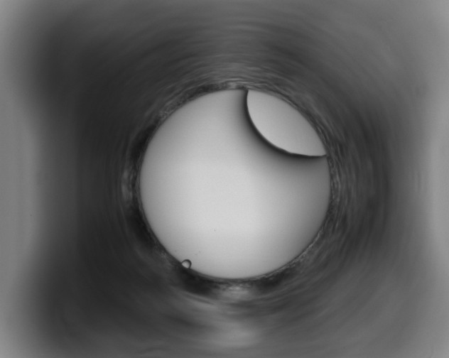 X0000099490218200805150935