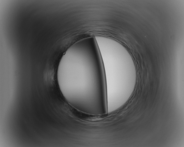 X0000099490219200805150935