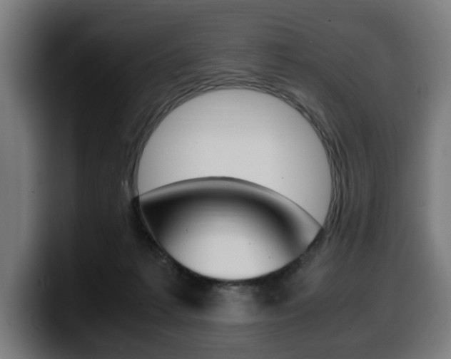 X0000099490221200805150935