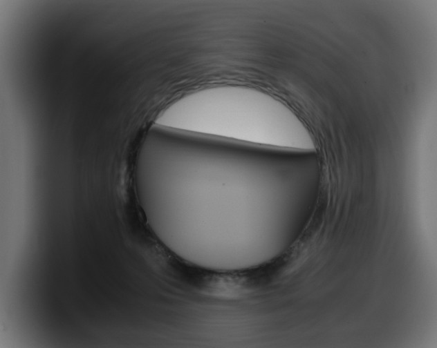 X0000099490223200805150935