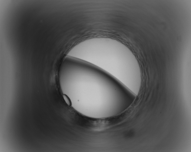 X0000099490225200805150935