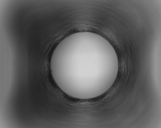 X0000099490228200805150935