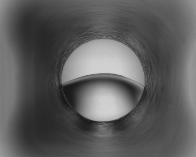 X0000099490229200805150935