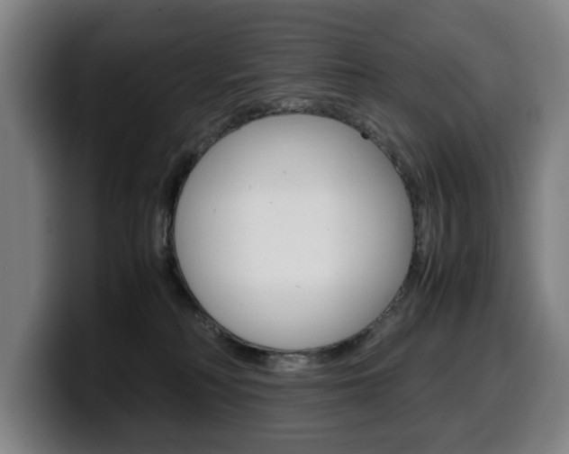 X0000099490230200805150935