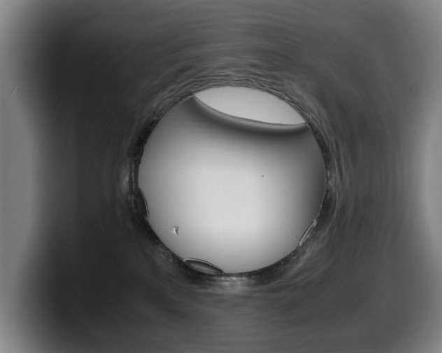 X0000099490233200805150935