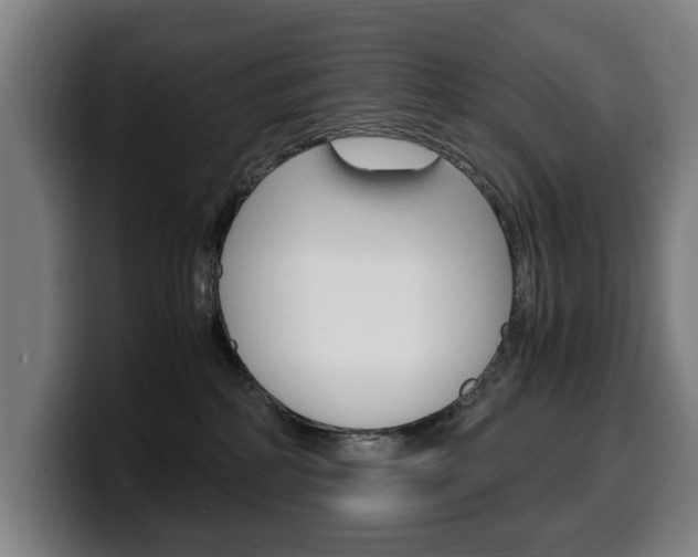 X0000099490234200805150935