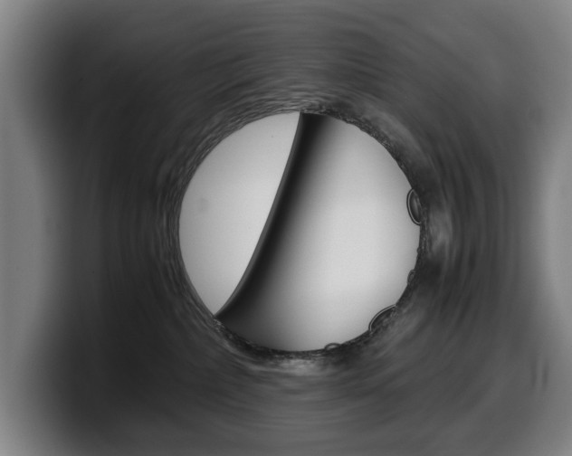 X0000099490236200805150935