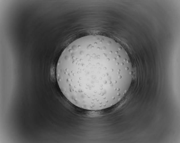 X0000099490238200805150935