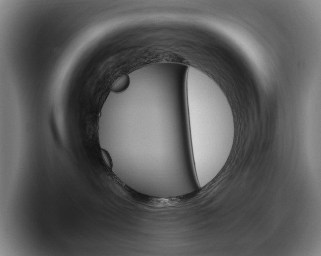 X0000099490239200805150935